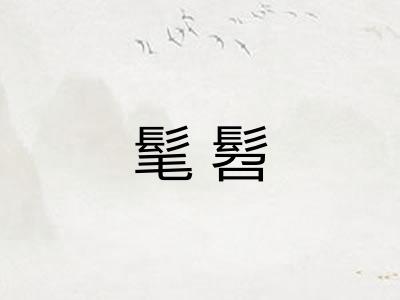髦髫