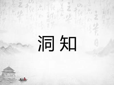 洞知