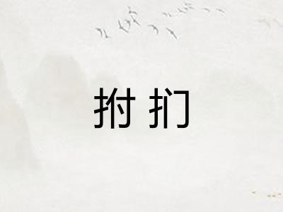 拊扪