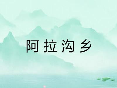 阿拉沟乡