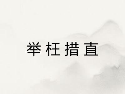 举枉措直