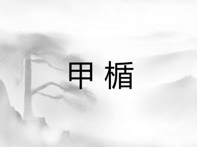 甲楯