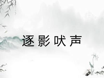 逐影吠声