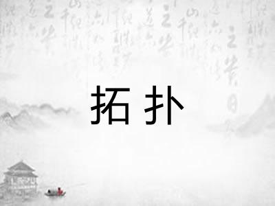 拓扑
