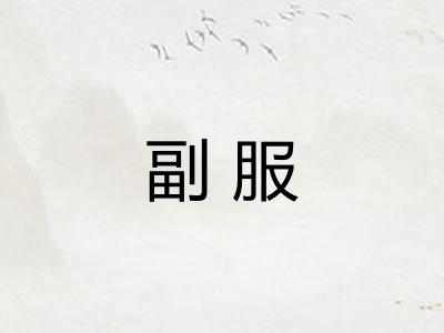 副服