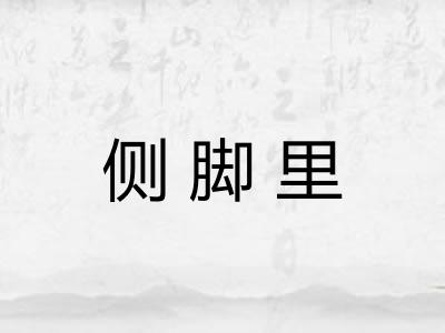 侧脚里