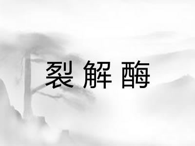 裂解酶