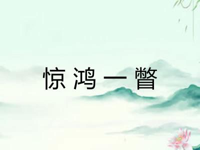 惊鸿一瞥