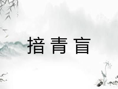 揞青盲