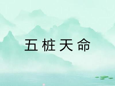五桩天命