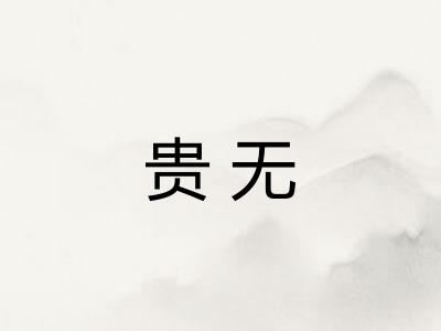 贵无