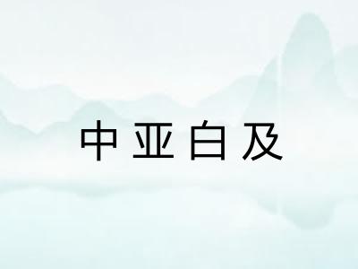 中亚白及