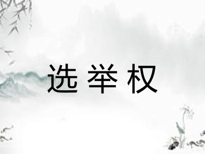 选举权