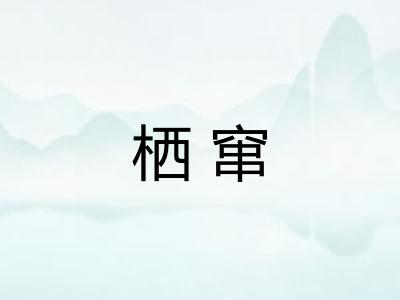 栖窜