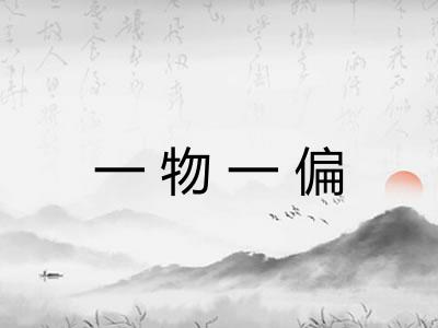 一物一偏