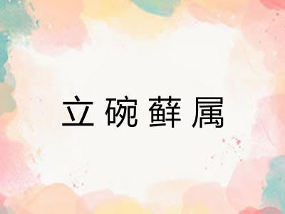 立碗藓属