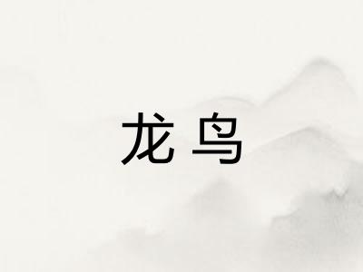龙鸟