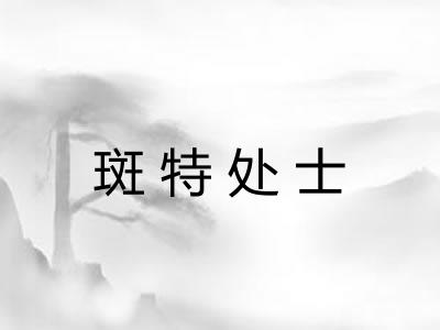 斑特处士