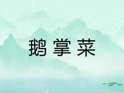 鹅掌菜