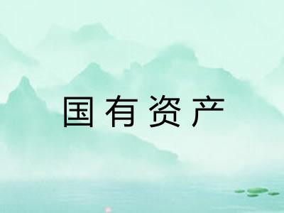 国有资产
