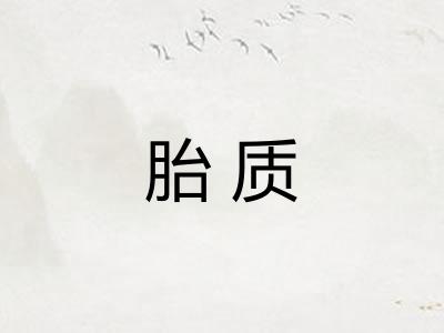 胎质