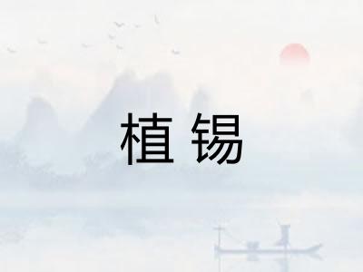 植锡