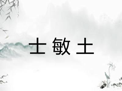 士敏土