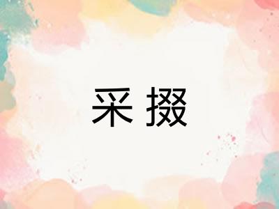 采掇