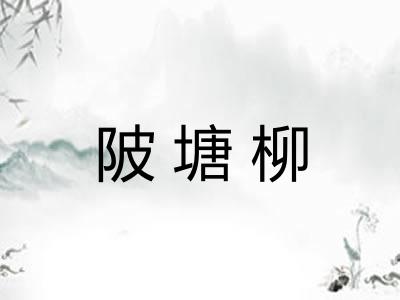 陂塘柳