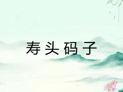 寿头码子