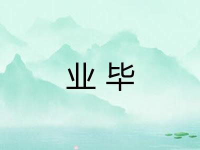 业毕
