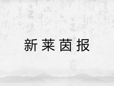 新莱茵报