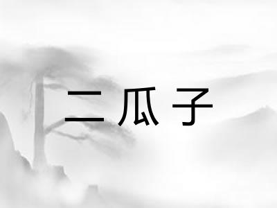 二瓜子