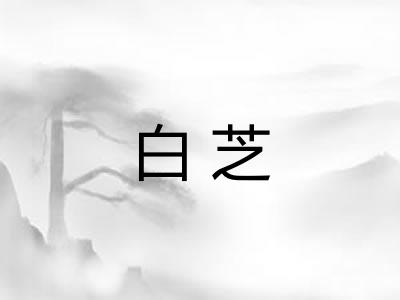 白芝