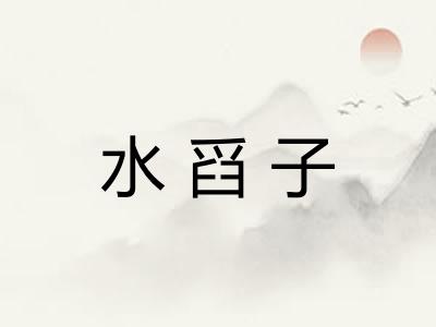 水舀子
