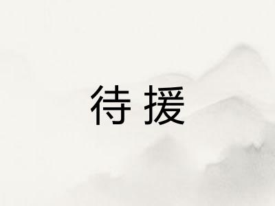 待援