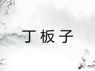 丁板子