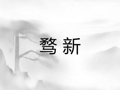骛新