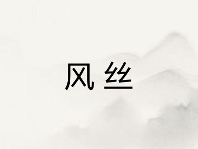 风丝
