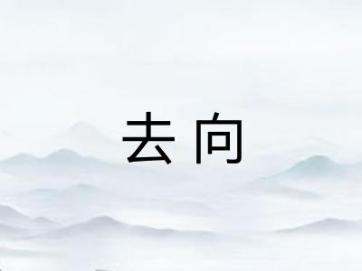 去向