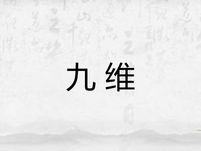 九维