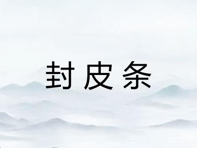 封皮条