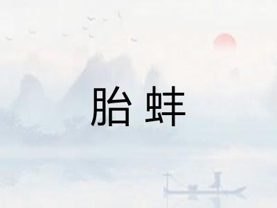 胎蚌