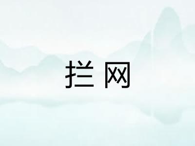 拦网