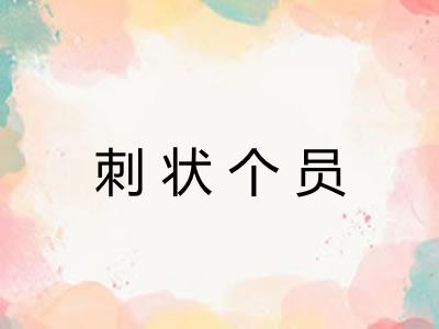 刺状个员