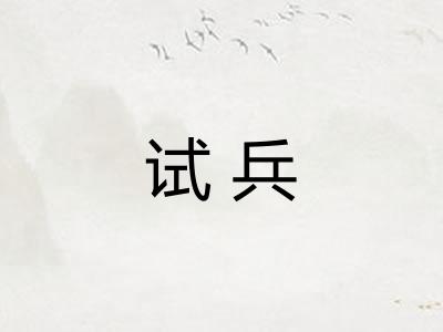 试兵
