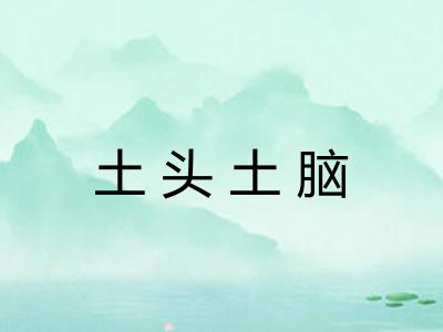 土头土脑
