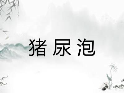 猪尿泡