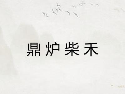 鼎炉柴禾
