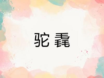 驼毳